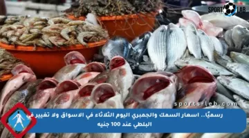 رسميًا.. أسعار السمك والجمبري اليوم الثلاثاء في الأسواق ولا تغيير في البلطي عند 100 جنيه
